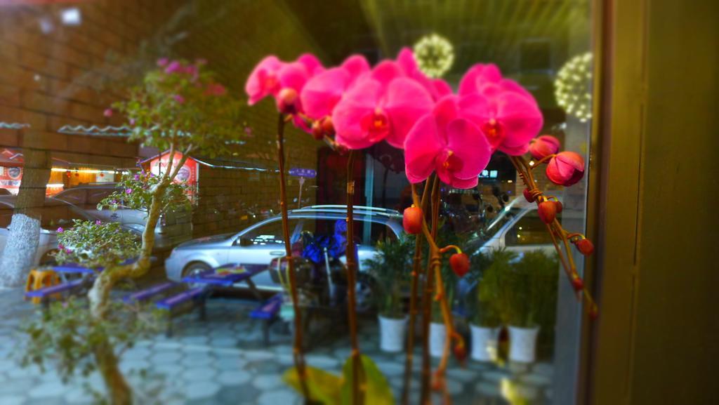 Guilin Central Wada Hostel Eksteriør billede